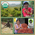 Indian Peaks Blend, Fair Trade & Organic