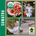 Sumatra Fair Trade & Organic