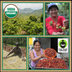 Longs Peak Blend, Fair Trade & Organic